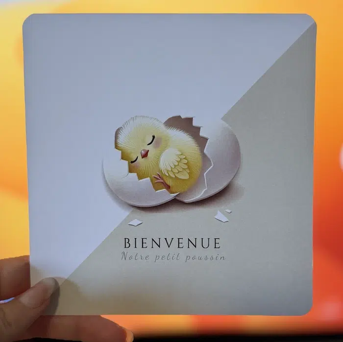 N°448 - Faire-Part notre petit poussin a éclos !