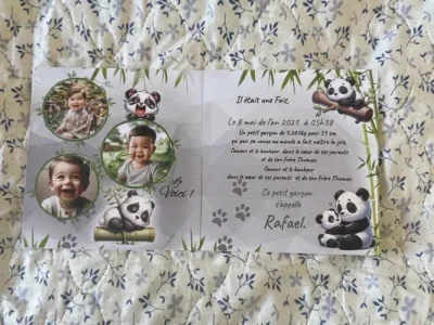 N°302 - Faire-part Panda bambou bébé
