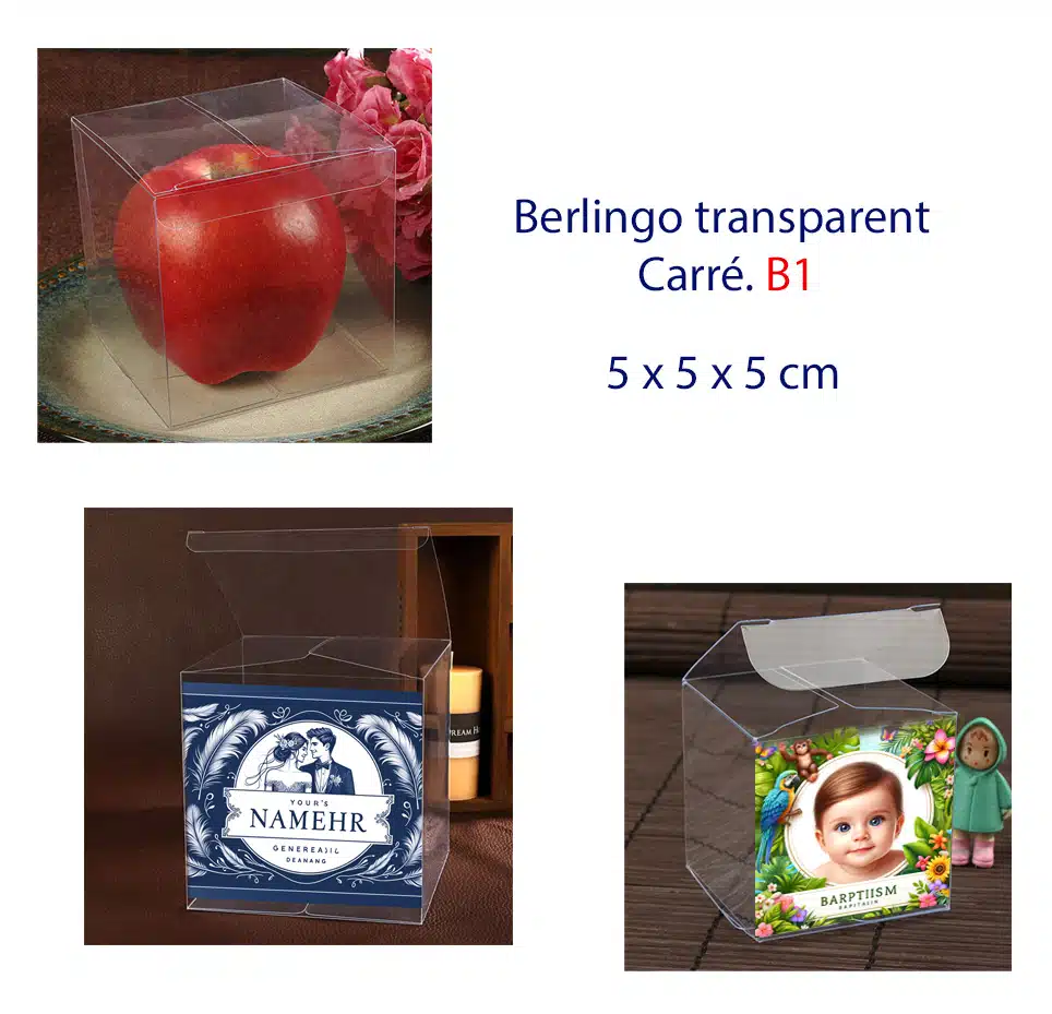 Boîtes Berlingot dragée vierge -Création Unique – Sur-Mesure pour Vous – Image 4