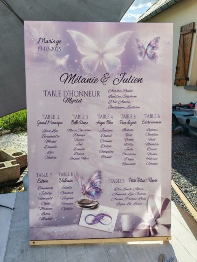 N°39.3 - Plan de table papillons Éclat Enchantés